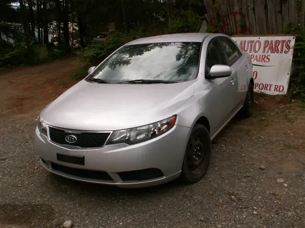 Shelton Auto Parts - photo 4
