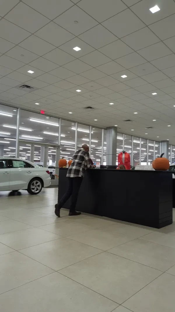 Audi New Rochelle - photo 2