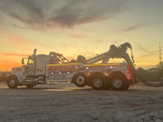 Alligator Towing & Recovery