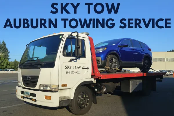 SKY TOW - photo 4