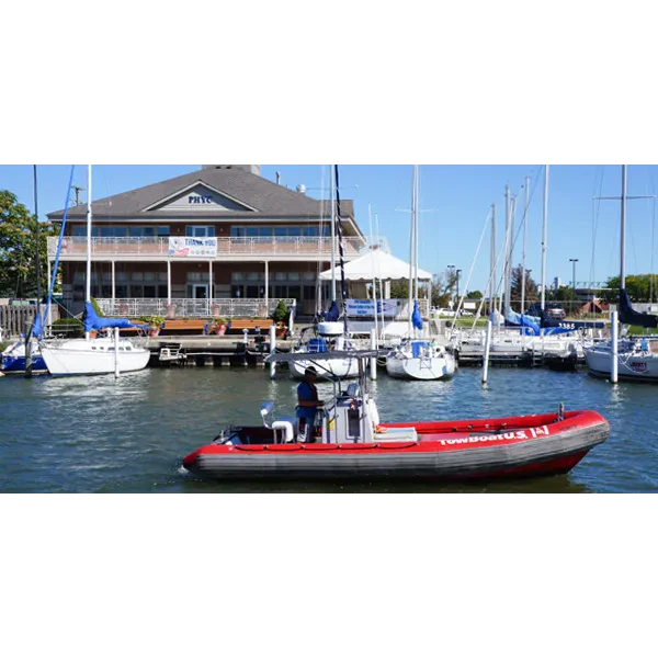 Tow Boat US Port Huron - photo 3