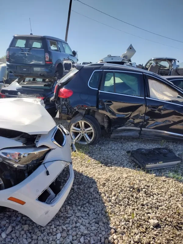 Alamo Trucks Auto Sales & Part - photo 2