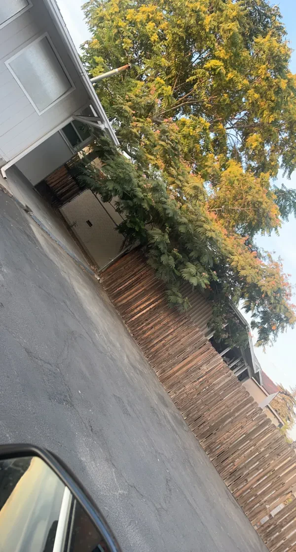 Get Junk'd - photo 2