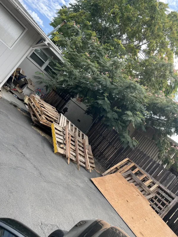 Get Junk'd - photo 4