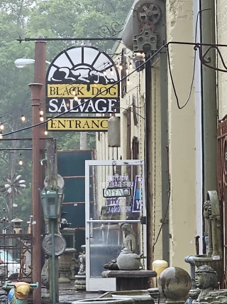 Black Dog Salvage
