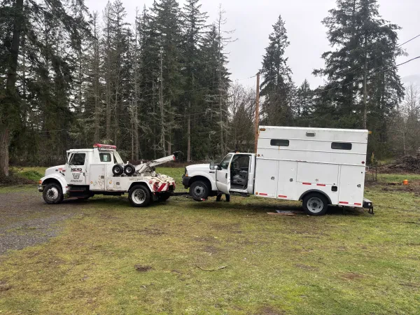 Nerd Towing - photo 4