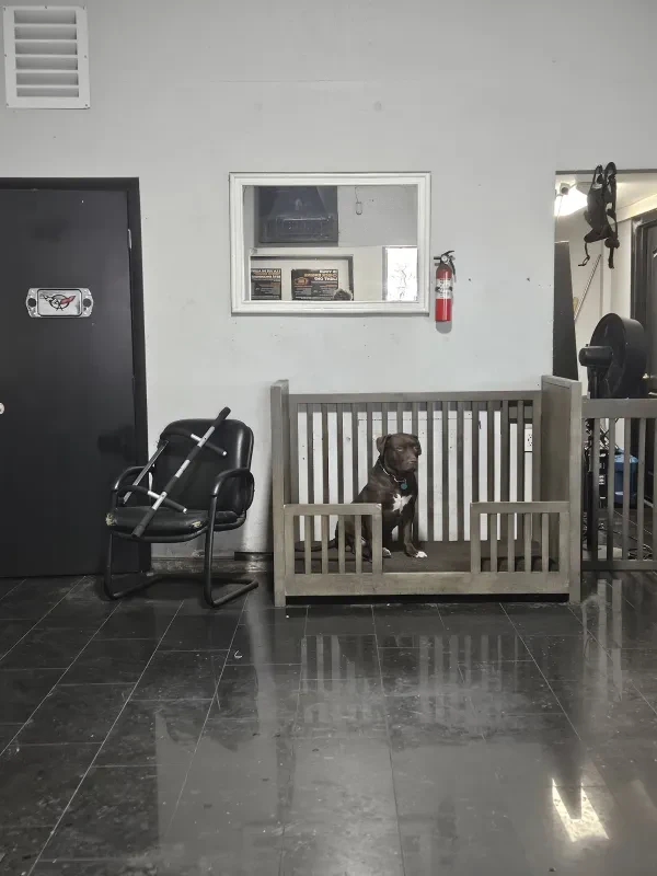 Discount Auto Repair - photo 3