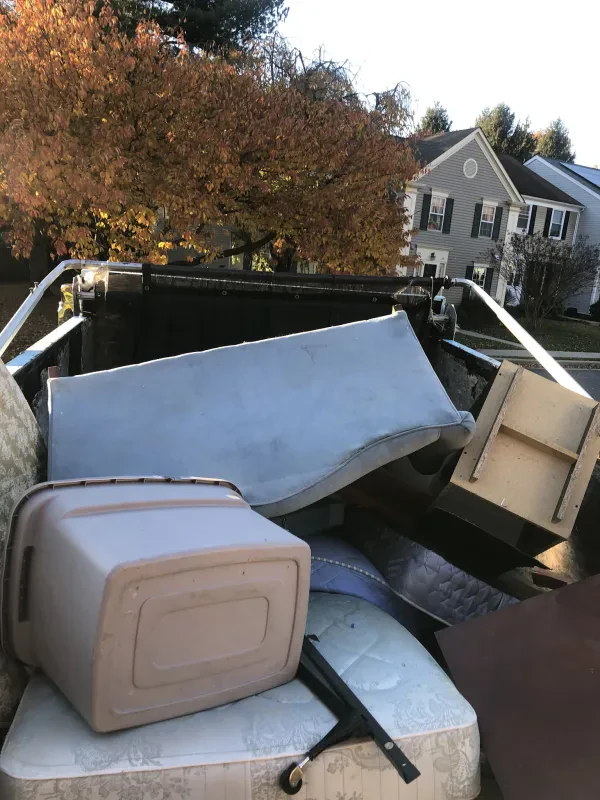 BumbleJunk - photo 3