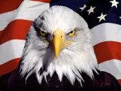 Freedom Towing LA