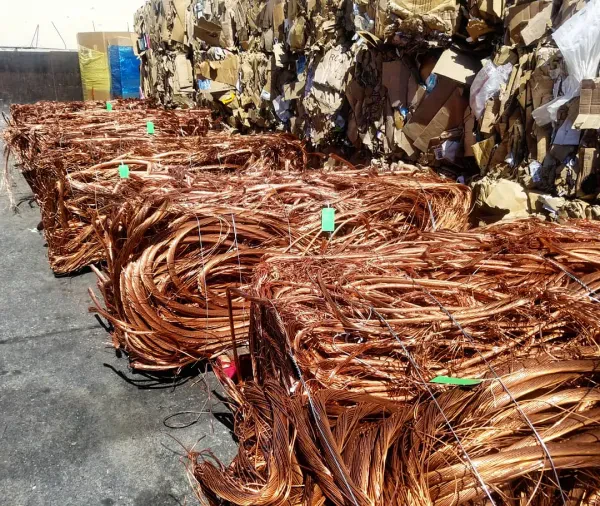 Nevada Recycling - photo 2