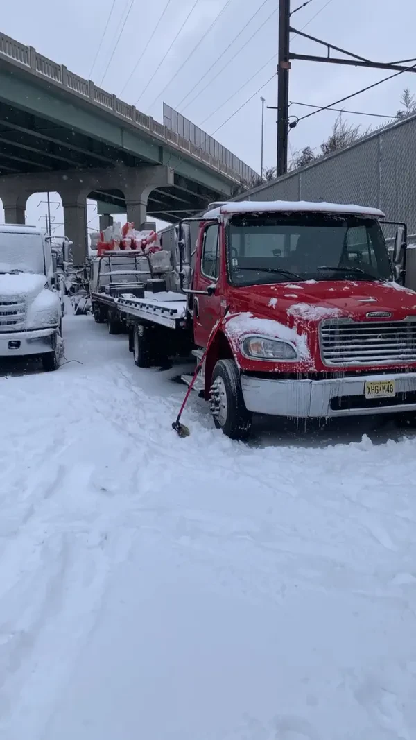 Down Neck Towing - photo 3