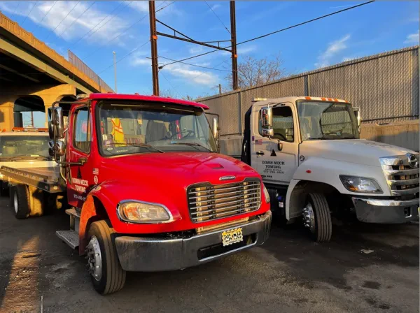 Down Neck Towing - photo 4
