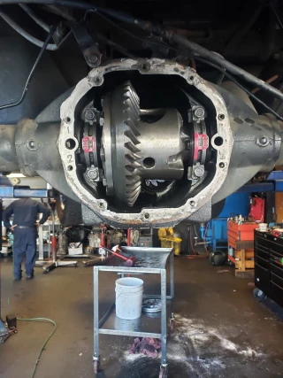 Rivera's Transmission
