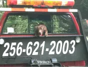AA Wrecker Service