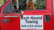 Dash Hound Towing & OFF Road Recovery
