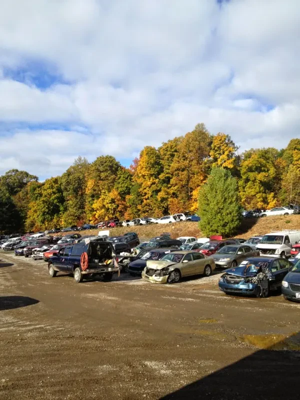 Condon's Auto Parts - photo 2