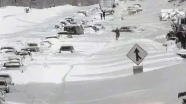 Capitol Towing - photo 3