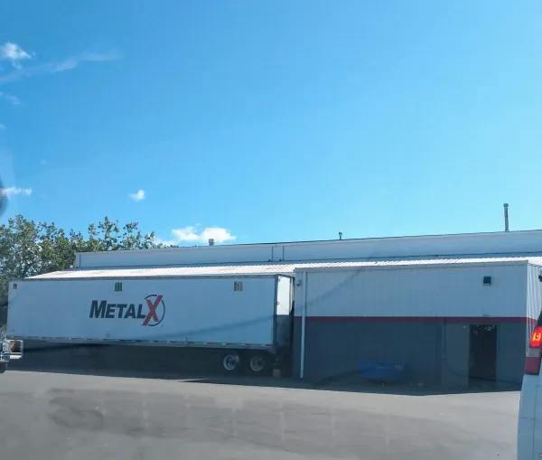 MetalX - photo 2