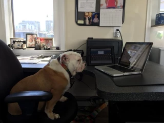 BostonCarBuyers