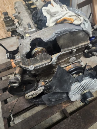 Olive autosalvage