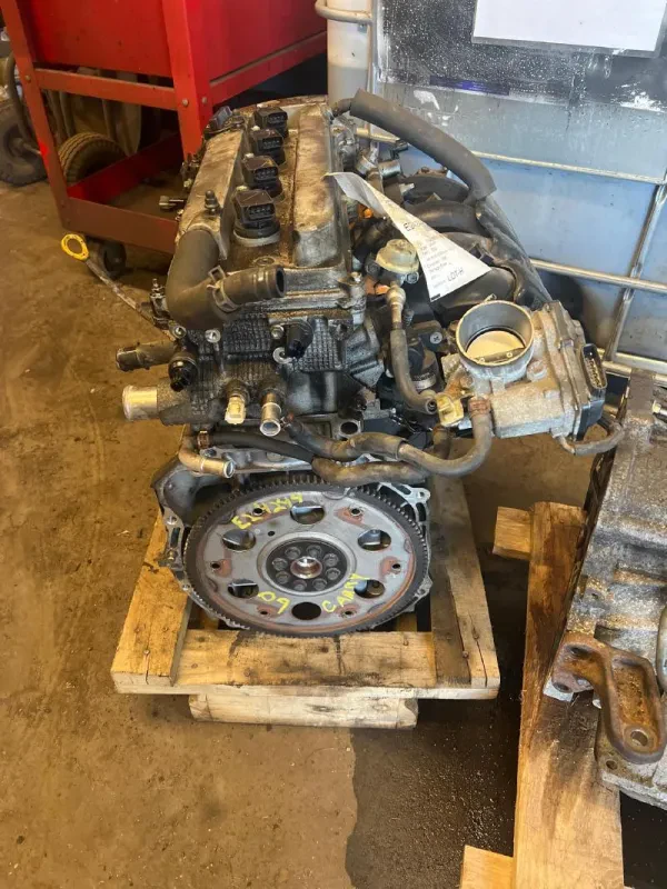 Olive autosalvage - photo 2