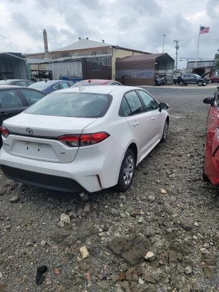 Economy Auto Inc.