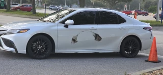 University Collision Center