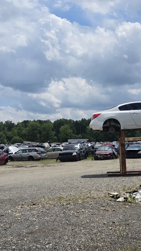 Brandywine Auto Parts - photo 3