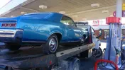 Roadrunner