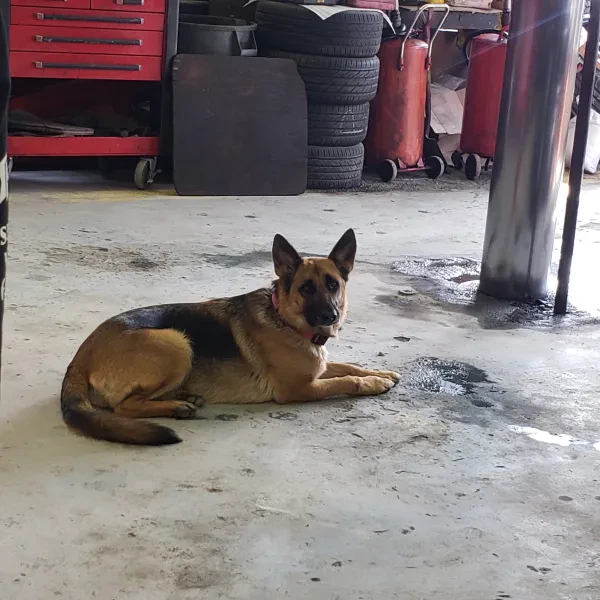 JK Auto Service & Tires - photo 2