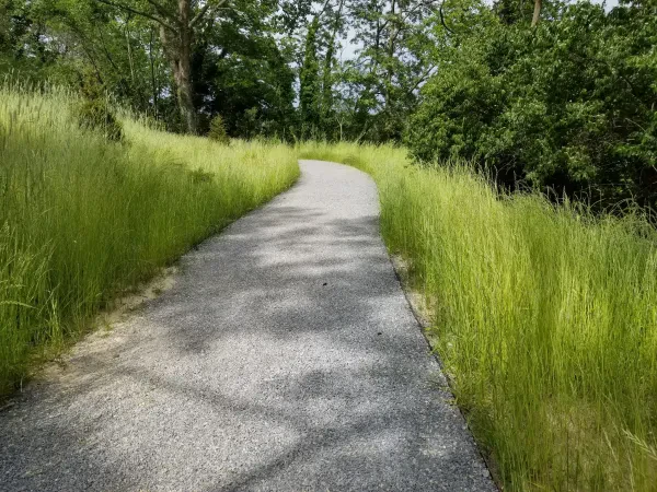 North Hempstead Residential Drop-Off - photo 4