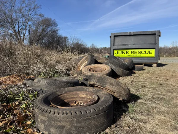 Junk Rescue - photo 4