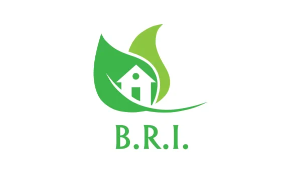 BRI Recycling - photo 3