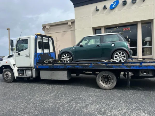Easy Towing - photo 4