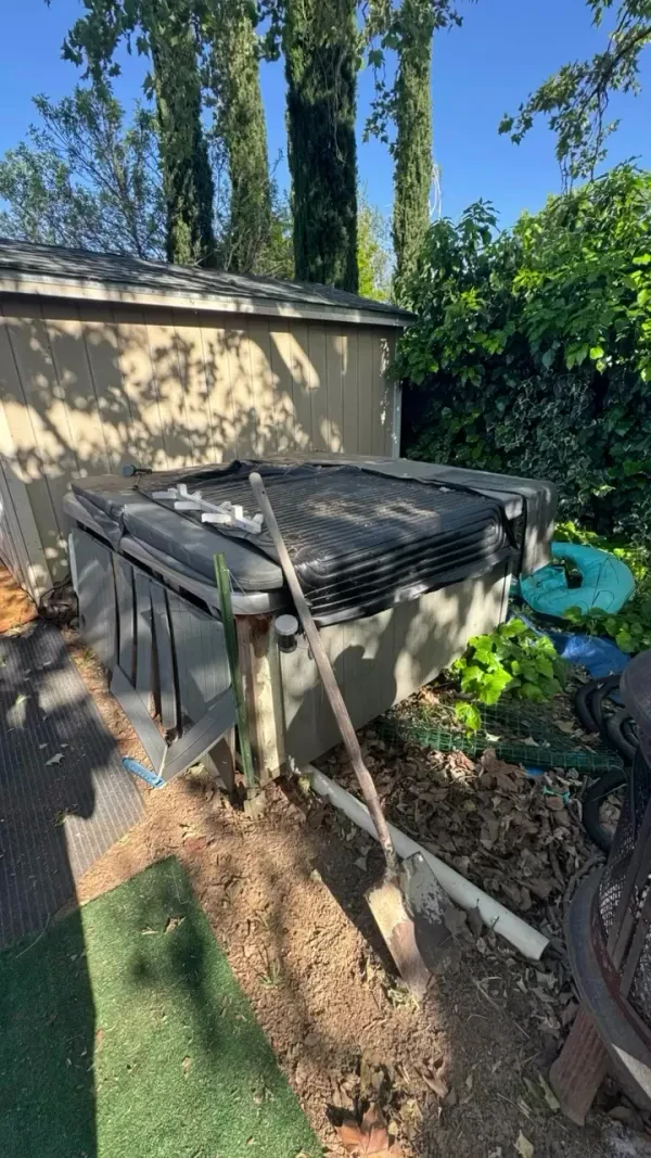 Blessed By The Best Junk Solutions - photo 2