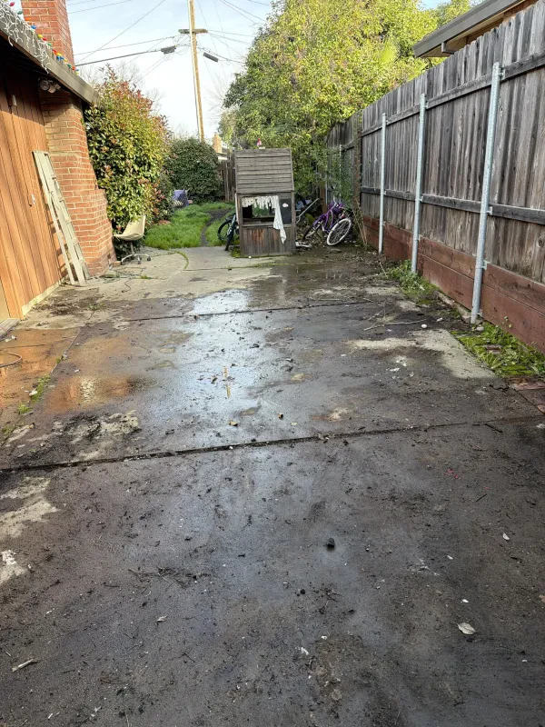 Blessed By The Best Junk Solutions - photo 3
