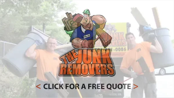 The Junk Removers - photo 2