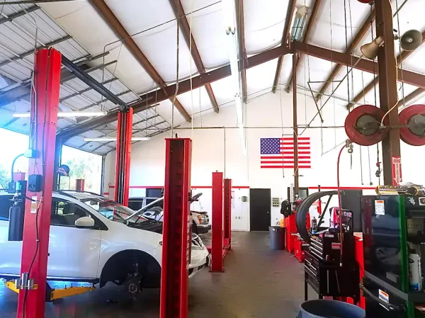 Blackbear Automotive - photo 3