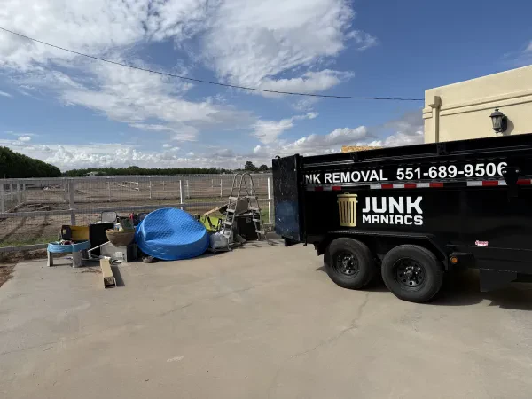 Junk Maniacs - photo 4