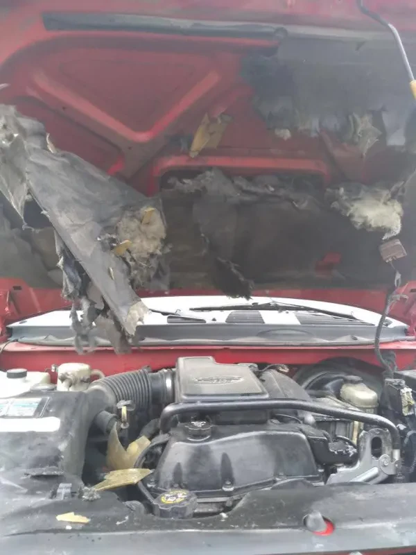 Pena's Automotive - photo 2