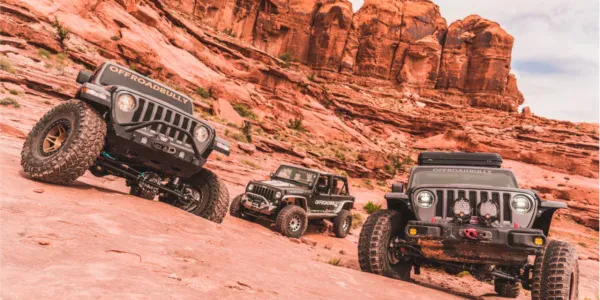 Off Road Bully - photo 2
