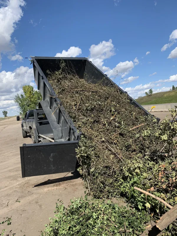 Sioux Falls Junk Removal - photo 4