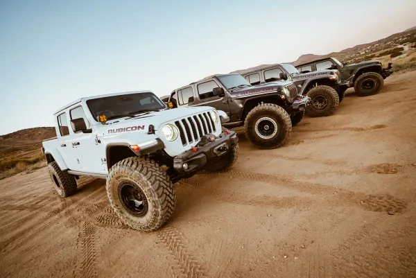 Off Road Bully - photo 4