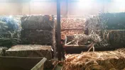 SA Recycling