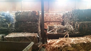 SA Recycling