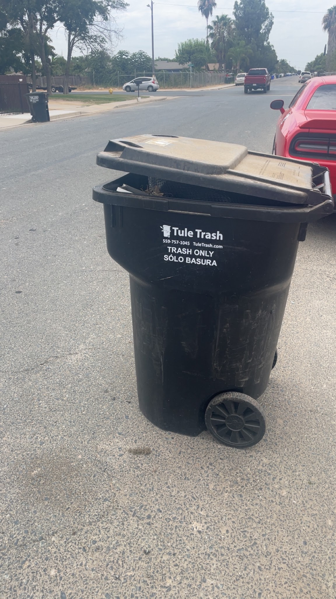 Tule Trash Co