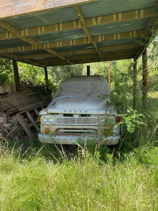 Silverback Towing - photo 3