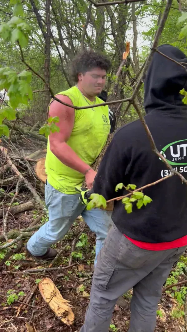 Utica Junk Removal - photo 3