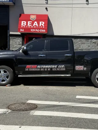 Bear Transportation