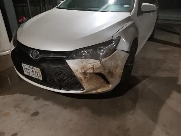 Bluebonnet Collision Center - photo 3